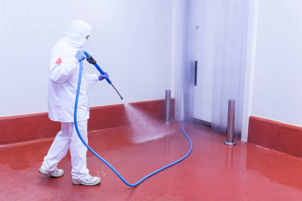 Pre-Holiday Cleaning in Griggsville, IL