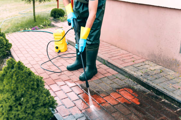 Best Building Exterior Washing  in Griggsvle, IL
