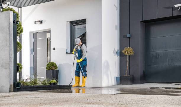 Best Sidewalk and Walkway Cleaning  in Griggsvle, IL